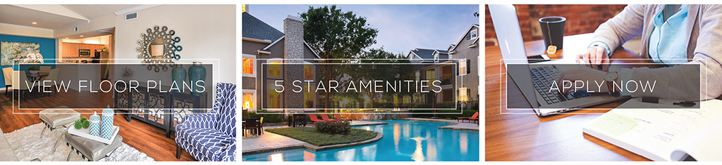 5 Star Amenities